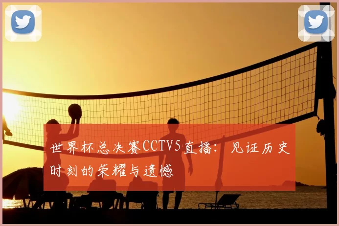 世界杯总决赛CCTV5直播:见证历史时刻的荣耀与遗憾