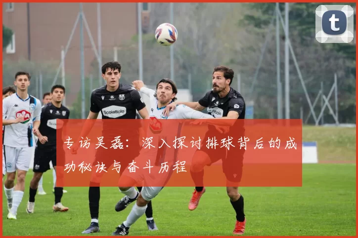 专访吴磊：深入探讨排球背后的成功秘诀与奋斗历程