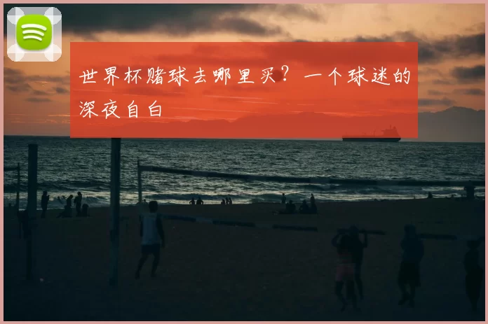 世界杯赌球去哪里买？一个球迷的深夜自白