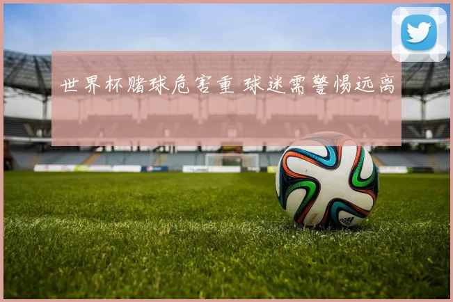 世界杯赌球危害重 球迷需警惕远离