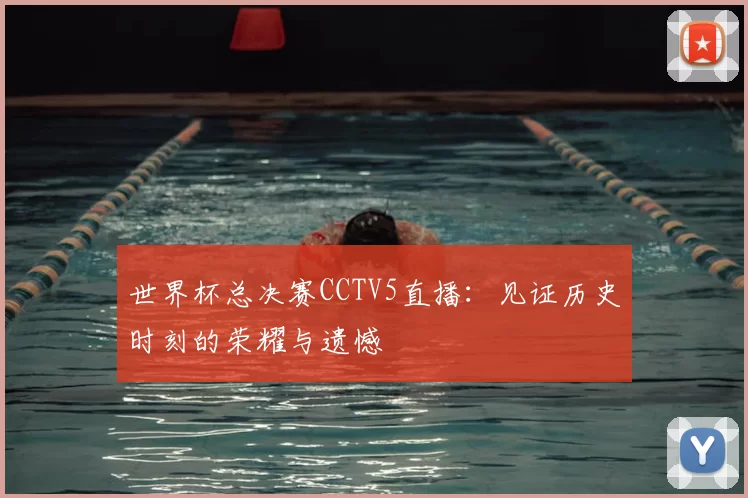 世界杯总决赛CCTV5直播:见证历史时刻的荣耀与遗憾