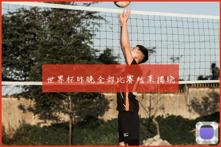 世界杯昨晚全部比赛结果揭晓