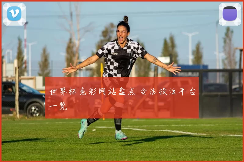 世界杯竞彩网站盘点 合法投注平台一览