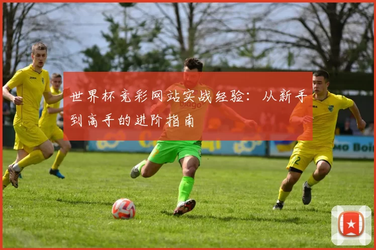 世界杯竞彩网站实战经验：从新手到高手的进阶指南