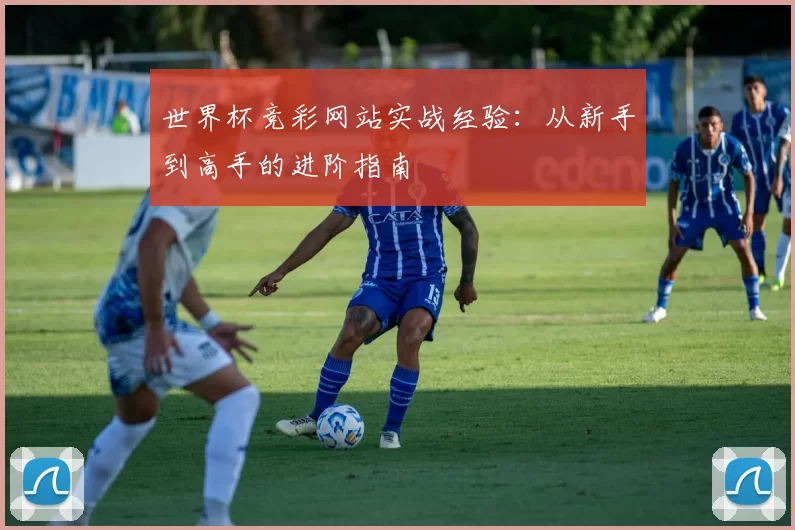世界杯竞彩网站实战经验：从新手到高手的进阶指南
