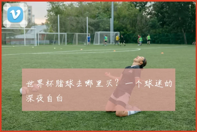 世界杯赌球去哪里买？一个球迷的深夜自白